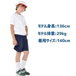【半袖】体育服 体操着 白 体操服 小学生 制...の詳細画像1