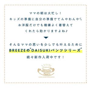 BREEZE 2026新作 ブリーズ DAIS...の詳細画像4