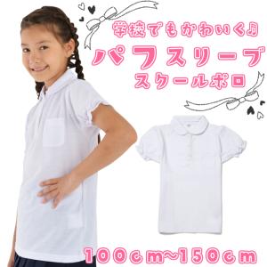小学生 ポロシャツ 丸衿 入学式 卒業式 お受験 幼稚園