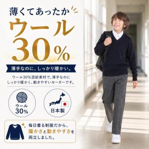 【 学生服のトンボ スクールセーター】ウール3...の詳細画像3