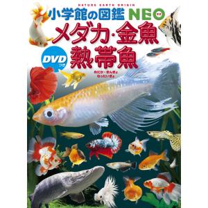 『小学館の図鑑NEO 30冊セット』【新版】の詳細画像2