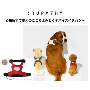 INUPATHY イヌパシー 本体セット　 RED 2 （大型犬用）