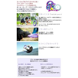 犬用玩具 ボール ロープ フライングディスク ...の詳細画像2