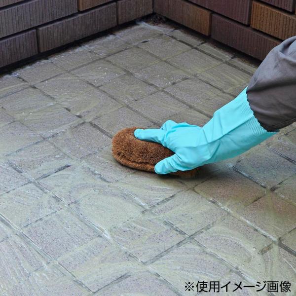 汚れ落とし クリーナー 掃除 水垢 屋外 外壁 タイル 玄関 ガーデン お手入れ 日本ミラコン エク...