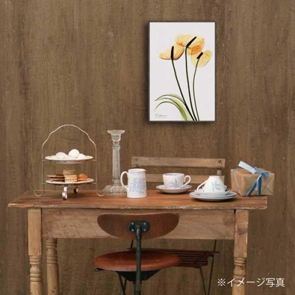 ユーパワー X RAY キャンバスアート Sサイズ 「アンスリウム」 XR-03820