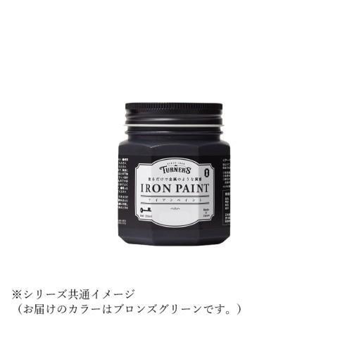 ターナー色彩　アイアンペイント ブロンズグリーン IR200015 200ML