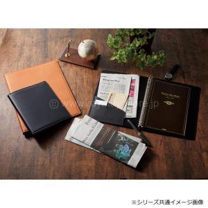 maruman バインダー メタルバインダー 収納ファイル B5 26穴 背