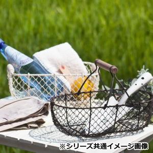 エスジーワンダーゾーン VGワイヤー長小判手付...の詳細画像1