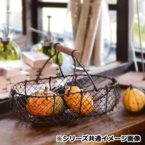 エスジーワンダーゾーン VGワイヤー長小判手付...の詳細画像2