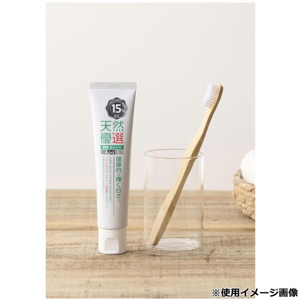 宇部マテリアルズ 天然優選 Apa15 薬用歯みがき U 120g