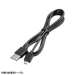 サンワサプライ HDMI-DisplayPor...の詳細画像1