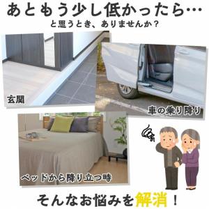 折りたたみ式低踏み台 高さ10cm ステップ台...の詳細画像1
