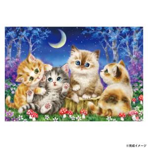 ビバリー 月夜のジグソーパズル 300ピースの買取情報