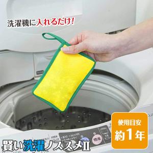 賢い洗濯ノススメII 使用目安1年 洗濯槽クリーナー 洗濯補助用品 部屋干 生乾き 抗菌 防カビ 防臭 全自動 2槽式 ドラム式 セラミックス 日本製