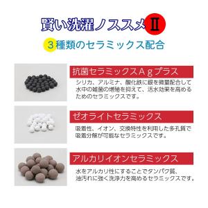 賢い洗濯ノススメII 使用目安1年 洗濯槽クリ...の詳細画像1