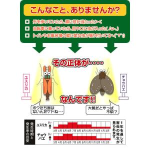 ユスリカ・チョウバエブロック粒剤 50g 害虫...の詳細画像1