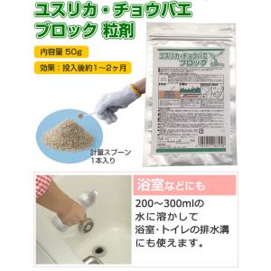 ユスリカ・チョウバエブロック粒剤 50g 害虫...の詳細画像3