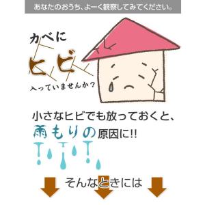 雨漏り補修液 防水膜 ハケ塗り 外壁 ベランダ...の詳細画像2