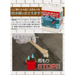 雨漏り補修液 防水膜 ハケ塗り 外壁 ベランダ...の詳細画像3