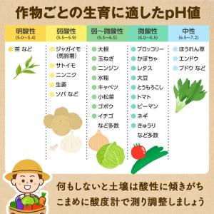差すだけ簡単!土壌酸度計 電池不要 pH値3〜...の詳細画像5