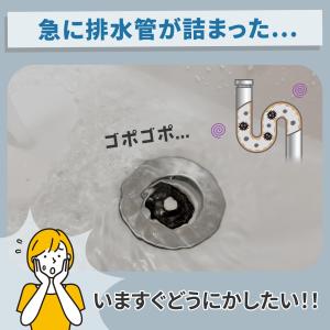 パイプのつまりクリーナー トイレ 流し台 シン...の詳細画像2