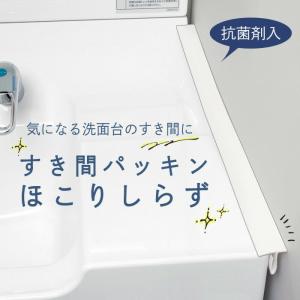 すき間パッキン ほこりしらず 隙間ガード 掃除...の詳細画像1