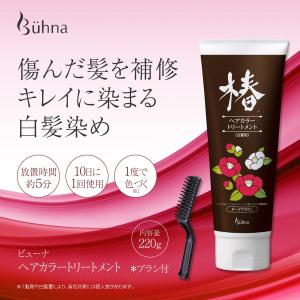 InterCosme（インターコスメ） ケンラックス トリートメントカラー