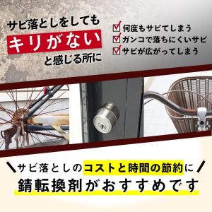 赤錆転換剤 サビトメール 100g ハケ付 水...の詳細画像2