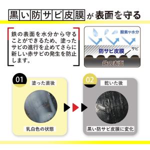 赤錆転換剤 サビトメール 100g ハケ付 水...の詳細画像4