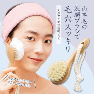 小鼻毛穴ケア 角栓 小鼻専用洗顔ブラシ 毛穴ケア 超極細毛ブラシ