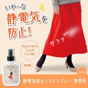 静電気防止ミストスプレー 携帯用 100ml 静電気防止スプレー 静電気除去グッズ 静電気スプレー ミスト 除菌 抗菌 消臭 無香料 持ち運び 日本製