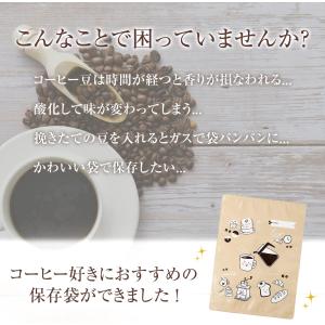 コーヒーの保存袋 2枚入 豆 粉 繰り返し 冷...の詳細画像1