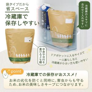 お米の保存袋(1kg袋×2枚入) ダブルチャッ...の詳細画像4
