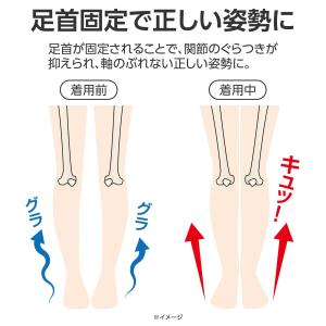 ガシッと足首サポーター ベージュ 1足組 2枚...の詳細画像4