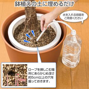 らくらく水やりロープ 4本入 全長86cm カ...の詳細画像3