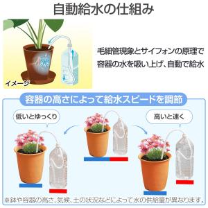らくらく水やりロープ 4本入 全長86cm カ...の詳細画像4