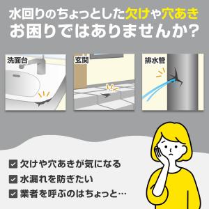 ペタッと補修パテ 水回り用 補修 パテ 長期保...の詳細画像2