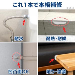 ペタッと補修パテ 水回り用 補修 パテ 長期保...の詳細画像4