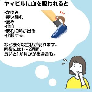 天然忌避剤ヤマビルアウト 虫除けスプレー ヒル...の詳細画像2