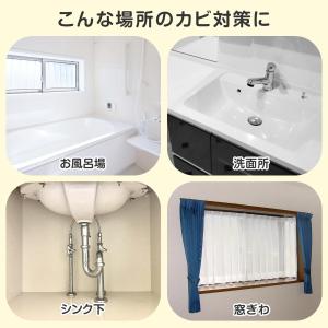 バイオでカビよけ君詰替え用R 300g 詰め替...の詳細画像4