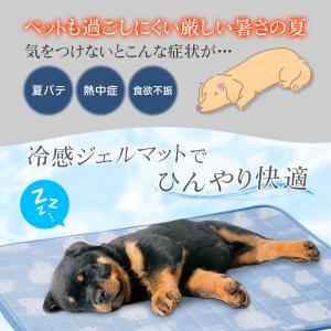 ペット用冷感ごろ寝マット ジェルタイプ 敷きパ...の詳細画像1