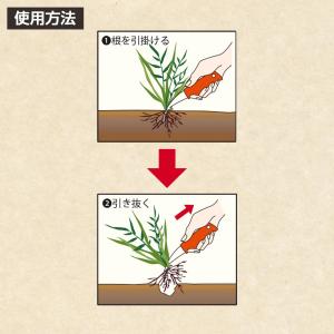 根こそぎ草抜きくん 草刈り鎌 雑草取り 除草 ...の詳細画像3