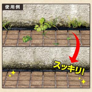 根こそぎ草抜きくん 草刈り鎌 雑草取り 除草 ...の詳細画像4