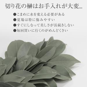 神棚用の榊(2束) サカキ 造花 フェイクグリ...の詳細画像1