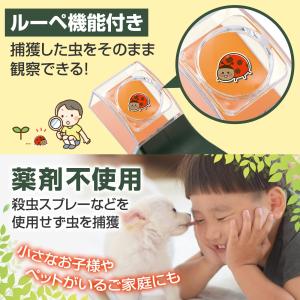 触らず逃がす虫キャッチ 虫キャッチャー 虫 害...の詳細画像5