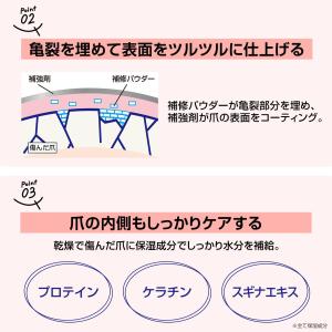 ビューナ 塗るだけ補強ネイル 補修 亀裂 爪割...の詳細画像4