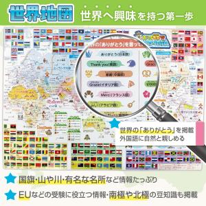 おふろ先生 日本地図&世界地図 ポスタ...の詳細画像4