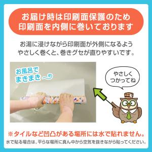 おふろ先生 日本地図&世界地図 ポスタ...の詳細画像5