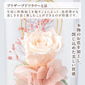 プリザーブド仏花 ミニガラスドーム ピンク ア...の詳細画像1