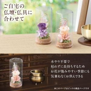 プリザーブド仏花 ミニガラスドーム ピンク ア...の詳細画像2